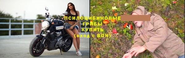 винт Богданович